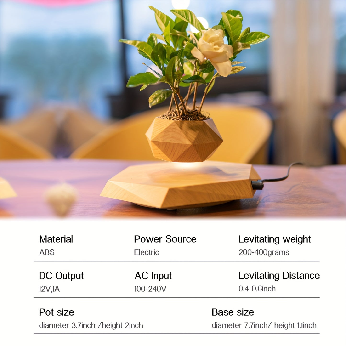 Levitating Plant Pot, Floating Plant Pot For Small Plants - Alia's Home Things