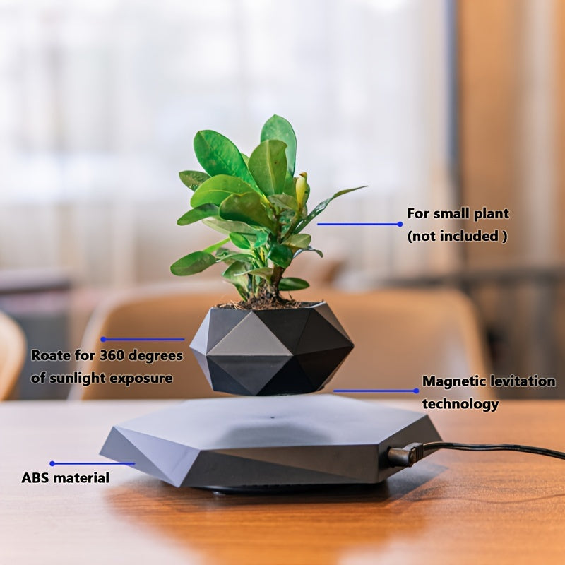 Levitating Plant Pot, Floating Plant Pot For Small Plants - Alia's Home Things  