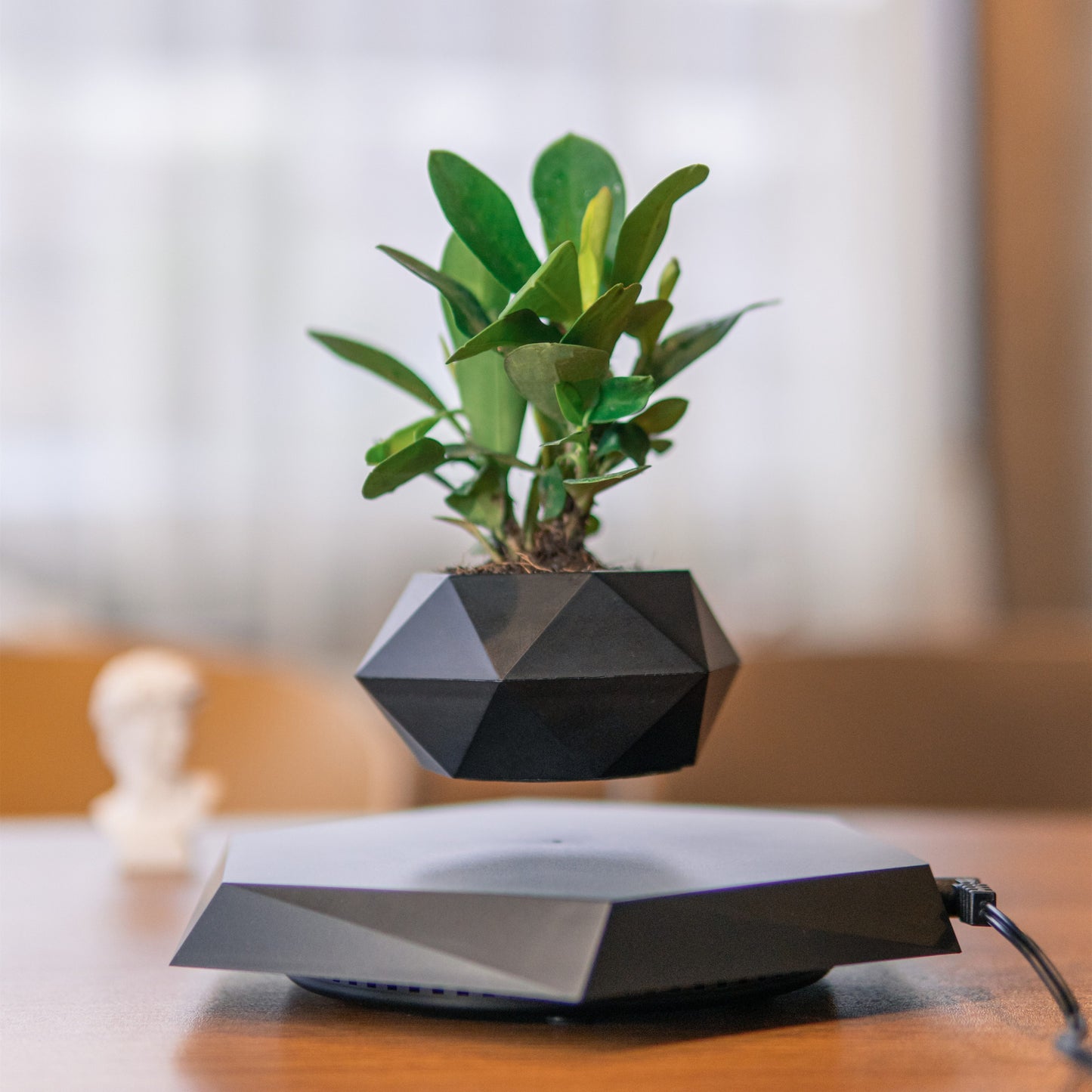 Levitating Plant Pot, Floating Plant Pot For Small Plants - Alia's Home Things  