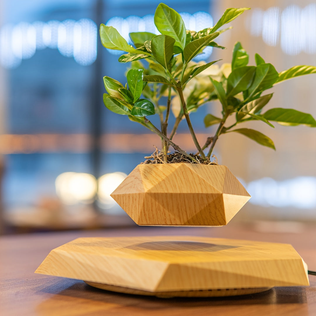 Levitating Plant Pot, Floating Plant Pot For Small Plants - Alia's Home Things  