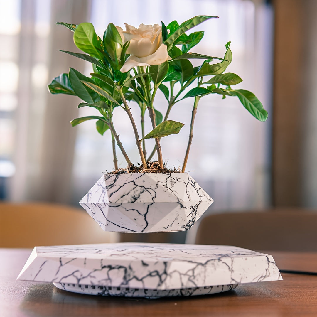 Levitating Plant Pot, Floating Plant Pot For Small Plants - Alia's Home Things  