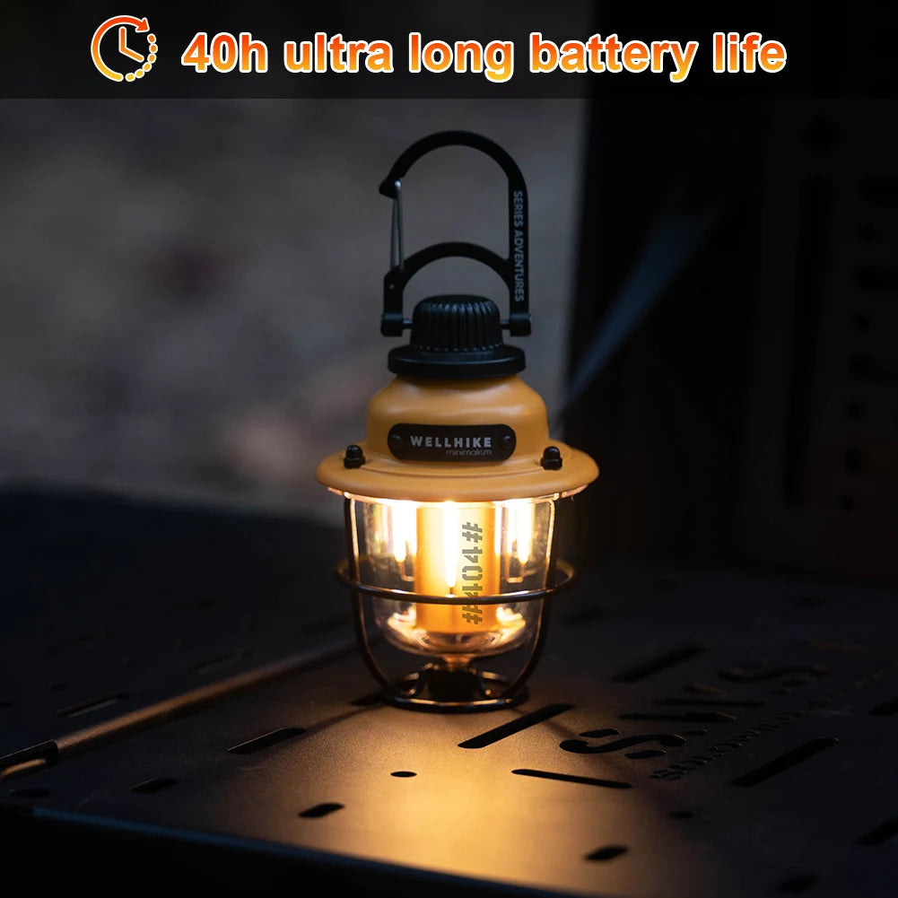 Camping LED Outdoor Vintage Light  Waterproof - Alia's Home Things  