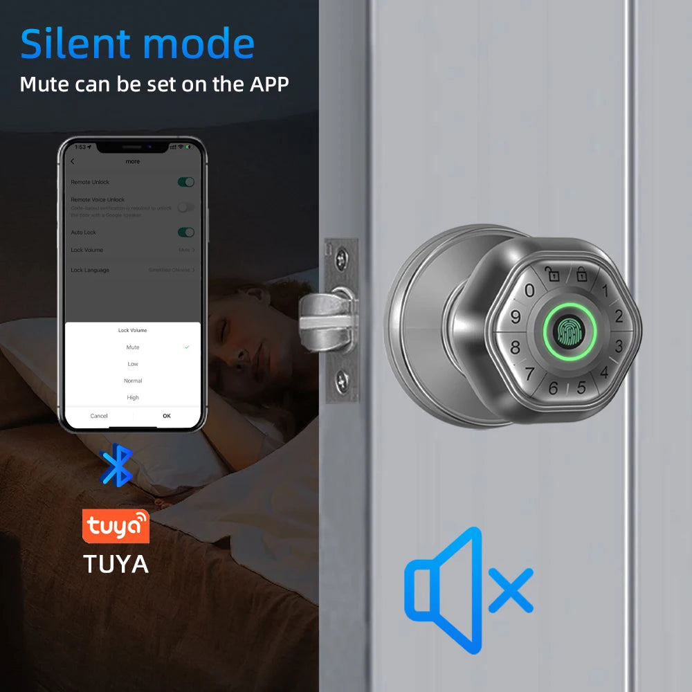 Smart Fingerprint Door Lock - Alia's Home Things  